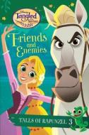 Friends and Enemies di Kathy McCullough edito da TURTLEBACK BOOKS