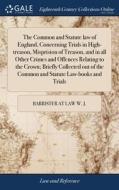 The Common And Statute Law Of England, C di BARRISTER AT W. J. edito da Lightning Source Uk Ltd