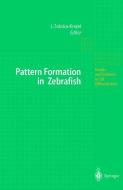 Pattern Formation in Zebrafish di Helmut Koch, Lilianna Solnica-Krezel, L. Solnica-Krezel edito da Springer Berlin Heidelberg