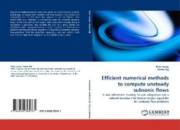 Efficient numerical methods to compute unsteady subsonic flows di Peter Lucas, Hester Bijl edito da LAP Lambert Acad. Publ.