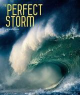 The Perfect Storm di Ornella D'Alessio, D'Alessio edito da White Star Publishers