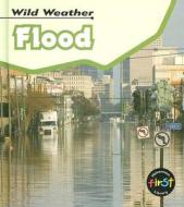 Flood di Catherine Chambers edito da Heinemann Educational Books