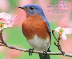 Backyard Birds of the South edito da Fair Winds Press (MA)