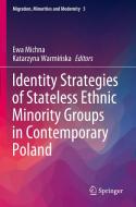 Identity Strategies of Stateless Ethnic Minority Groups in Contemporary Poland edito da Springer International Publishing