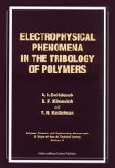 Electrophysical Phenomena In The Tribology Of Polymers di A. I. Sviridewok, A. F. Kilmovich, V. N. Kestelman edito da Taylor & Francis Ltd