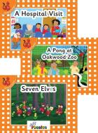 Jolly Phonics Orange Level Readers Set 5 di Louise Van-Pottelsberghe edito da Jolly Learning Ltd