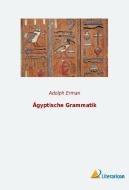 Ägyptische Grammatik di Adolph Erman edito da Literaricon Verlag