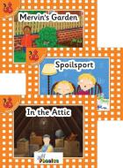 Jolly Phonics Orange Level Readers Set 7 di Louise Van-Pottelsberghe edito da Jolly Learning Ltd