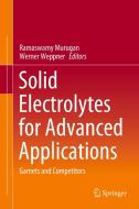 Solid Electrolytes For Advanced Applications edito da Springer Nature Switzerland Ag