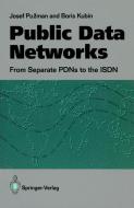 Public Data Networks di Boris Kubin, Josef Puzman edito da Springer London