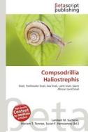 Compsodrillia Haliostrephis edito da Betascript Publishing