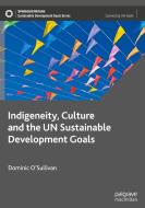Indigeneity, Culture and the Un Sustainable Development Goals di Dominic O'Sullivan edito da PALGRAVE MACMILLAN LTD