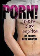 Dirty Gay Erotica edito da Taylor & Francis Inc