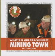What's It Like to Live Here? Mining Town di Katie Marsico edito da CHERRY LAKE PUB