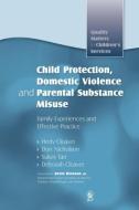 Child Protection, Domestic Violence and Parental Substance Misuse di Hedy Cleaver, Don Nicholson, Sukey Tarr edito da Jessica Kingsley Publishers, Ltd