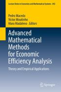 Advanced Mathematical Methods for Economic Efficiency Analysis edito da Springer International Publishing