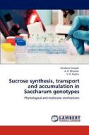 Sucrose synthesis, transport and accumulation in Saccharum genotypes di Vandana Vinayak, A. K. Dhawan, V. K. Gupta edito da LAP Lambert Academic Publishing