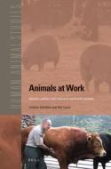 Animals at Work: Identity, Politics and Culture in Work with Animals di Lindsay Hamilton, Nik Taylor edito da BRILL ACADEMIC PUB