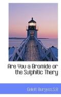 Are You A Bromide Or The Sulphitic Thery di S B Gelett Burgess edito da Bibliolife