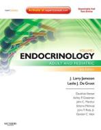 Endocrinology di J. Larry Jameson, Leslie J. De Groot edito da Elsevier - Health Sciences Division