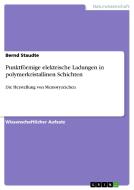 Punktförmige elektrische Ladungen in polymerkristallinen Schichten di Bernd Staudte edito da GRIN Publishing