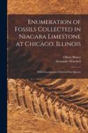 Enumeration of Fossils Collected in Niagara Limestone at Chicago, Illinois; With Descriptions of Several new Species di Alexander Winchell, Oliver Marcy edito da LEGARE STREET PR