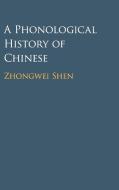 A Phonological History of Chinese di Zhongwei Shen edito da CAMBRIDGE