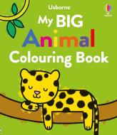 My Big Animal Colouring Book di Kate Nolan edito da Usborne Publishing Ltd
