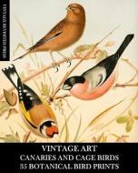 VINTAGE ART: CANARIES AND CAGE BIRD 35 B di VINTAGE REVIS PRESS edito da LIGHTNING SOURCE UK LTD