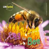 Life Cycles: Egg To Bee di Camilla De la Bedoyere edito da Qed Publishing