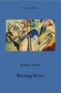 Burning Secret di Stefan Zweig edito da Pushkin Press