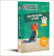 Level 2: Practise Reading At Home di Collins UK edito da Harpercollins Publishers