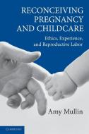 Reconceiving Pregnancy and Childcare di Amy (University of Toronto) Mullin edito da Cambridge University Press