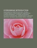 Hydrobiidae Introduction di Source Wikipedia edito da Books LLC, Reference Series