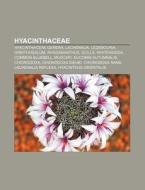 Hyacinthaceae: Common Bluebell, Eucomis di Books Llc edito da Books LLC, Wiki Series