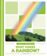 What Makes a Rainbow? di Debbie Vilardi edito da POP