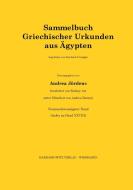 Sammelbuch Griechischer Urkunden aus Ägypten, 29 Index zu 28 edito da Harrassowitz Verlag