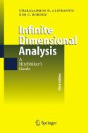 Infinite Dimensional Analysis di Charalambos D. Aliprantis, Kim C. Border edito da Springer-Verlag GmbH