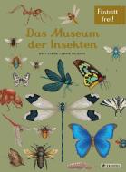 Das Museum der Insekten di Dave Goulson, Emily Carter edito da Prestel Verlag