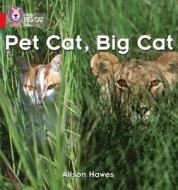 Pet Cat, Big Cat di Alison Hawes edito da HARPERCOLLINS UK