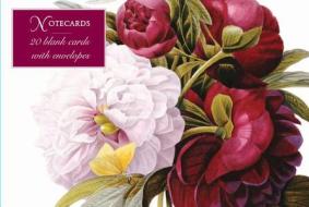Card Box Of 20 Notecards And Envelopes: Redoute Peony di Peony Press edito da Anness Publishing