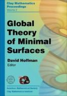 Global Theory Of Minimal Surfaces edito da American Mathematical Society
