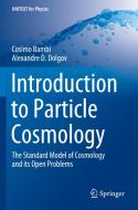 Introduction To Particle Cosmology di Cosimo Bambi, Alexandre D. Dolgov edito da Springer-verlag Berlin And Heidelberg Gmbh & Co. Kg