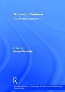 Domestic Violence di Mangai Natarajan edito da Routledge