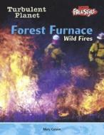 Forest Furnace di Anita Ganeri, Mary Colson, Colson edito da Heinemann Library