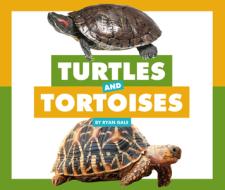 Turtles and Tortoises di Ryan Gale edito da CHILDS WORLD