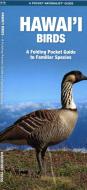 Hawaii Birds: A Folding Pocket Guide to Familiar Species di Waterford Press edito da WATERFORD PR