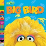 Big Bird di Andrea Posner-Sanchez edito da Penguin Putnam Inc