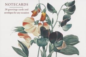 Card Box Of 20 Notecards And Envelopes: Sweetpea di Peony Press edito da Anness Publishing