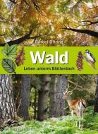Wald di Bärbel Oftring edito da Gerstenberg Verlag